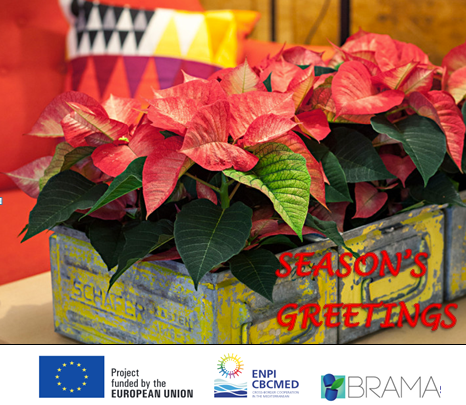 BramaProject's tweet image. The project has ended on 11 December 2015 but new activities will start in 2016! With Our best wishes