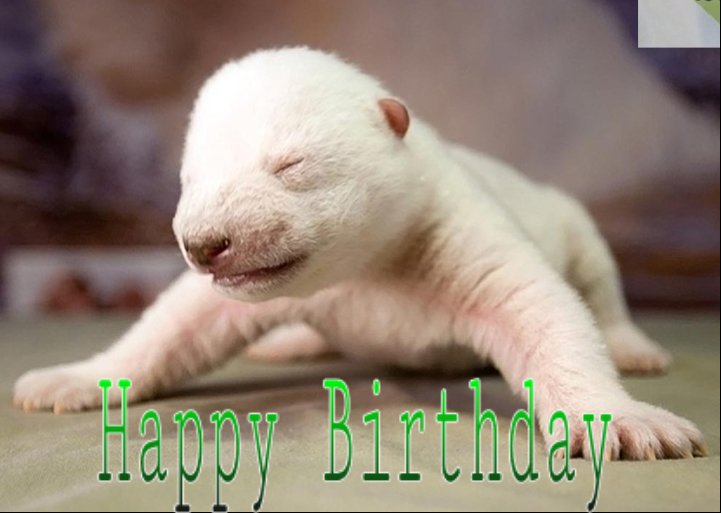 Happy Birthday to Ashley Slanina Davies -Emily Atack-Lizzie Armitstead-Paul Harrison -Katie Holmes & David ODoherty 