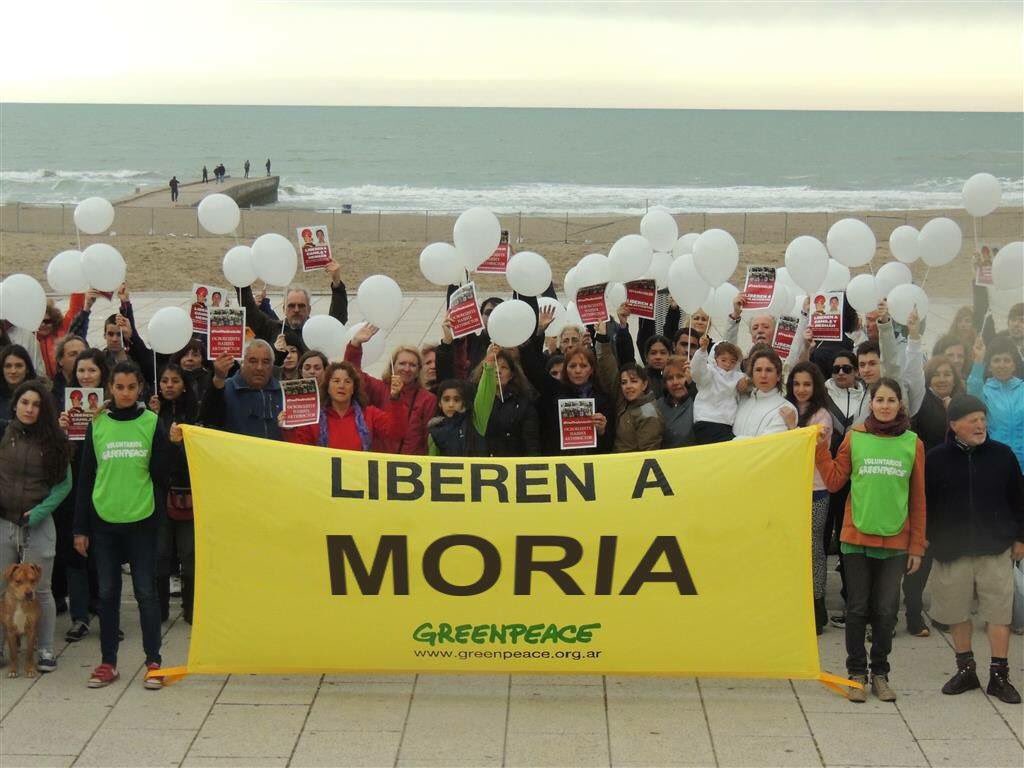 polojoaquinok's tweet image. #LiberenAMoria #liberenalamorsa #Greenpeace