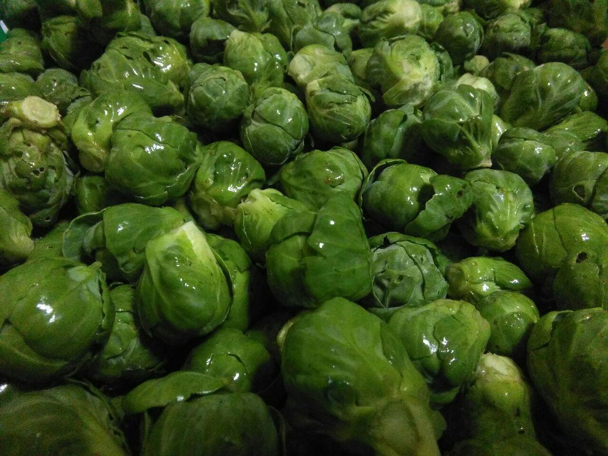 GuertaLaSal's tweet photo. Coles de Bruselas: Amosámosvos planta y los sos frutos pañaos a mano. Una delicia pa esti solsticiu d'iviernu #YeEco https://t.co/YRr9hRnwah