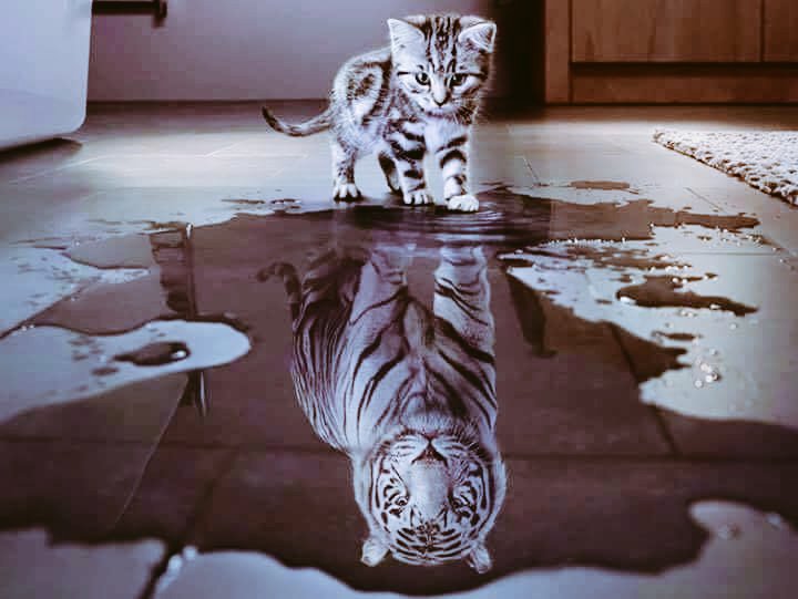 Ирээдүйн манлайлагч хүнтэй хамт өнгөрүүлсэн цаг хугацаа жинхэнэ хөрөнгө оруулалт юм...