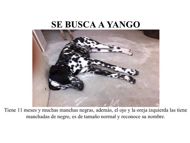 sandrilazo's tweet photo. @JenkoDelRioP porfavor ayudame a difundir, es mi vida :'( https://t.co/YpcXGdGFj9
