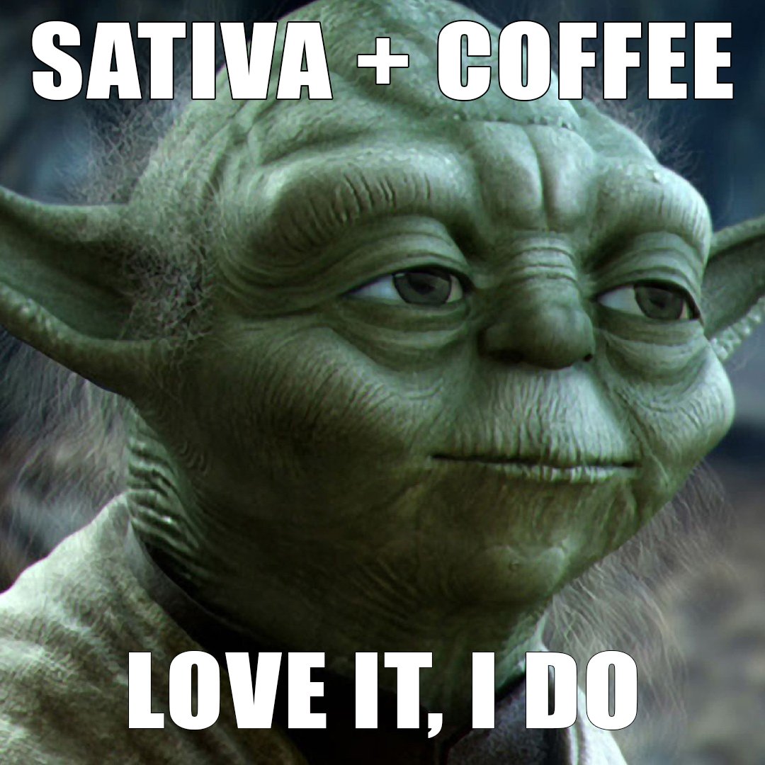 Dabwaxman's tweet photo. Yoda knows. Happy Friday! Have a great weekend :) #starwars #waxmanconcentrates https://t.co/kljpT6ATvu