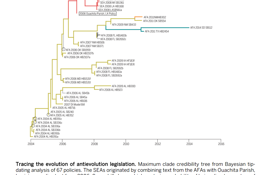 GYZhang2's tweet photo. @NickJMatzke uses phylogenetics to study the evolution of #AntiEvolution policies https://t.co/9Wcsuy8Hgr https://t.co/O2pWzmJIY2