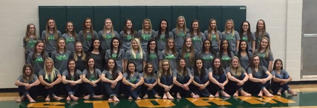 FuelStorm's tweet image. Come support the dance team tonight at 6:30 in the main gym! We would love to see a big fan section there ! 💚💛#shake