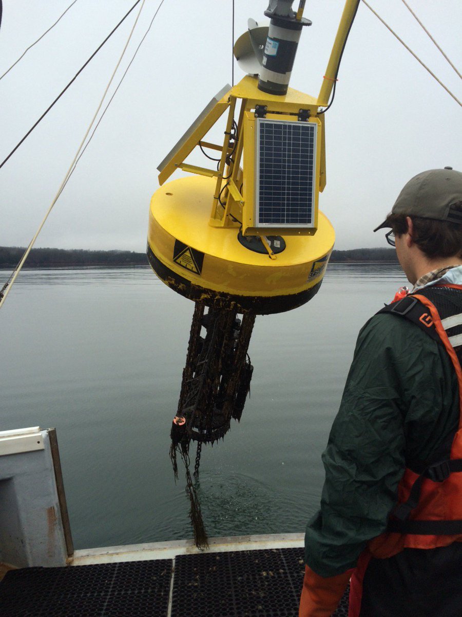 BradyBunchDMC's tweet photo. We pulled the buoys out of the Damariscotta today! Thanks for 3 months of #DamData!!! https://t.co/KPNmCzSwgS