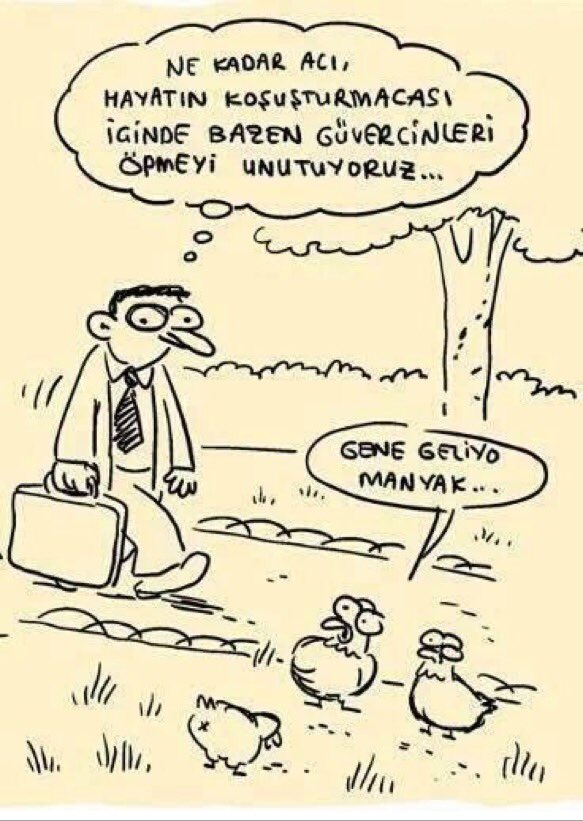 voiceofworldco's tweet photo. Ne kadar acı, hayatın koşuşturmacası içinde bazen güvercinleri öpmeyi unutuyoruz. https://t.co/4hcccrR3RX