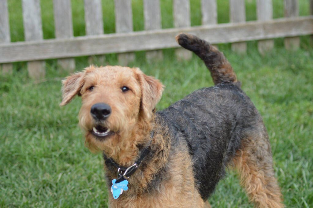 "Umm so.. I dont want to be a bother, but could you give me that ball?"