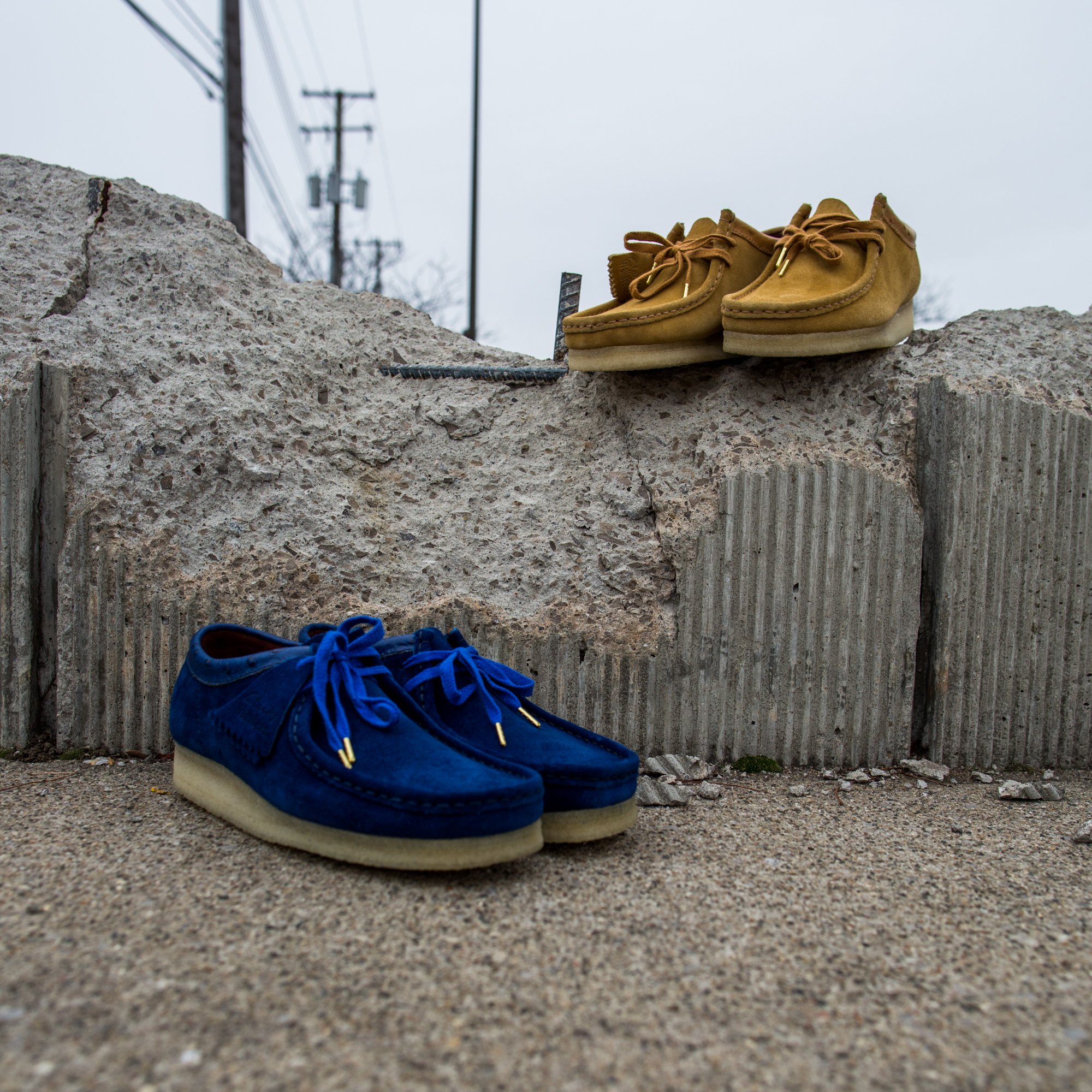 royal blue wallabees