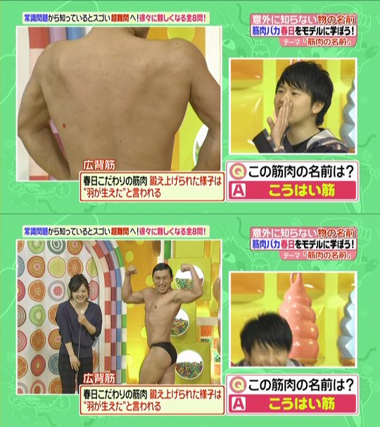 のてい ヒルナンデス 15 11 11 筋肉の名前クイズ 水卜 この広背筋という筋肉 春日 さん こだわりがあるそうなんですが 春日 ボディビルダー特有の筋肉というかね 鍛えないと 若林 カラダウィーク 春日 カラダウィーク T Co