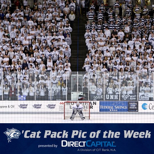 UNHCatPack's tweet photo. 'Cat Pack Pic of the Week presented by @DirectCapital! https://t.co/xdUQTjkMSi