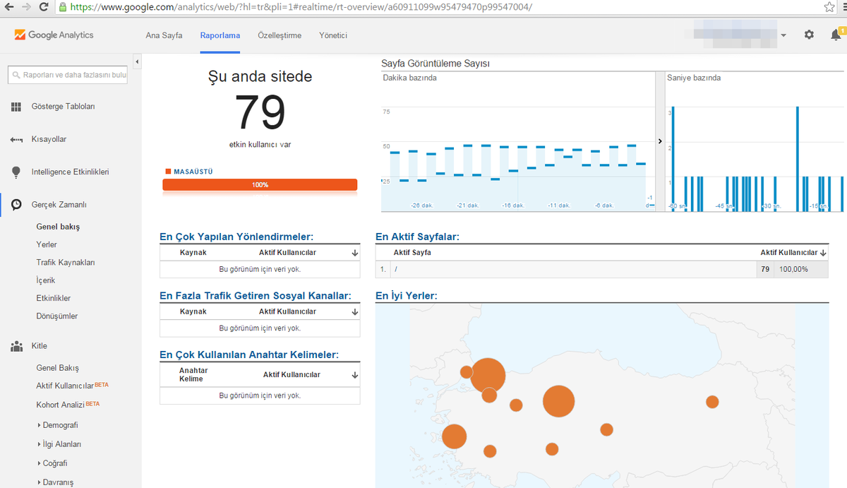 #websitehits #websiteziyaretçisayısıarttırma #piketi
