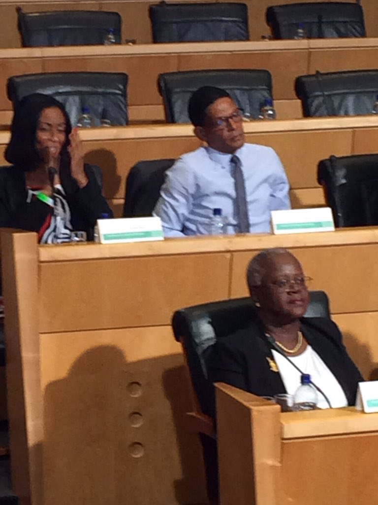 #CTM : Marie-France Toul, Jean-Philippe Nilor et Fred Lordinot siègent aussi à l'Assemblée de Martinique