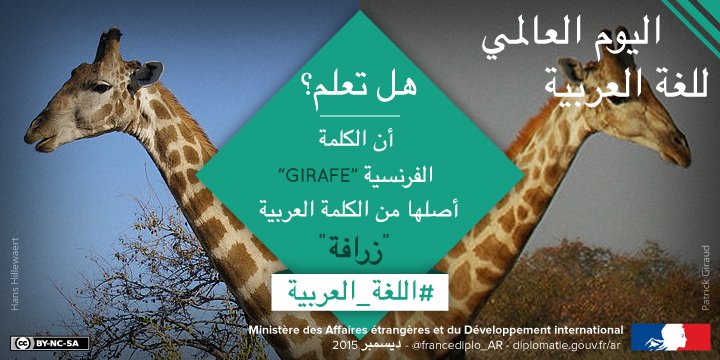 francediplo_AR's tweet photo. و يستمر الاحتفال بــ #اليوم_العالمي_للغة_العربية: ماهي الكلمة العربية المفضلة لديك؟ https://t.co/fH3JqShPx4