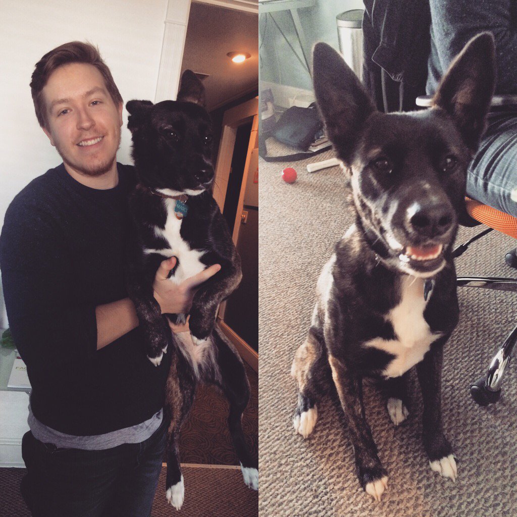 hatchitco's tweet photo. Let's get some ap-paws for new team members! #TeamHatchit https://t.co/JVr7zoUamL
