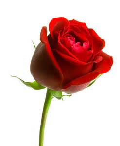 tripsmake's tweet image. @TheNews1_US thanks for following