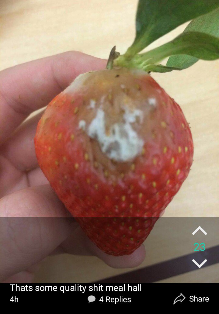ThanksStuart's tweet photo. From Yik Yak. Nothing like
 f r e s h   f r u i t    f r i d a y https://t.co/JHuPnvrMXs