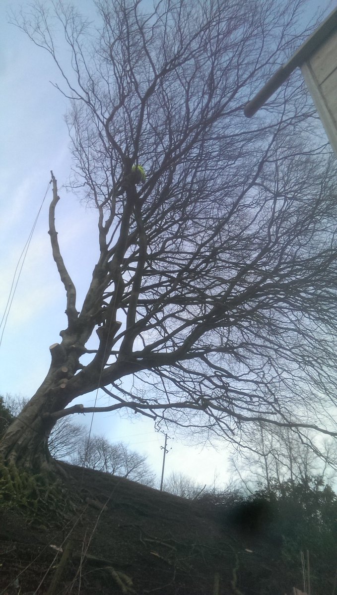 pearsontreeserv's tweet photo. Nice dismantling job to end a good year https://t.co/pi3rbOFF8r