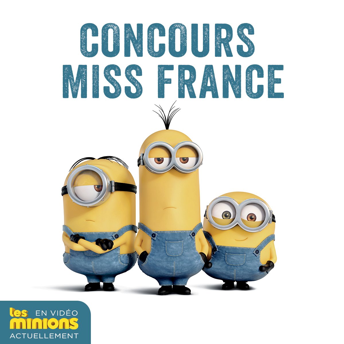 LesMinions tweet media