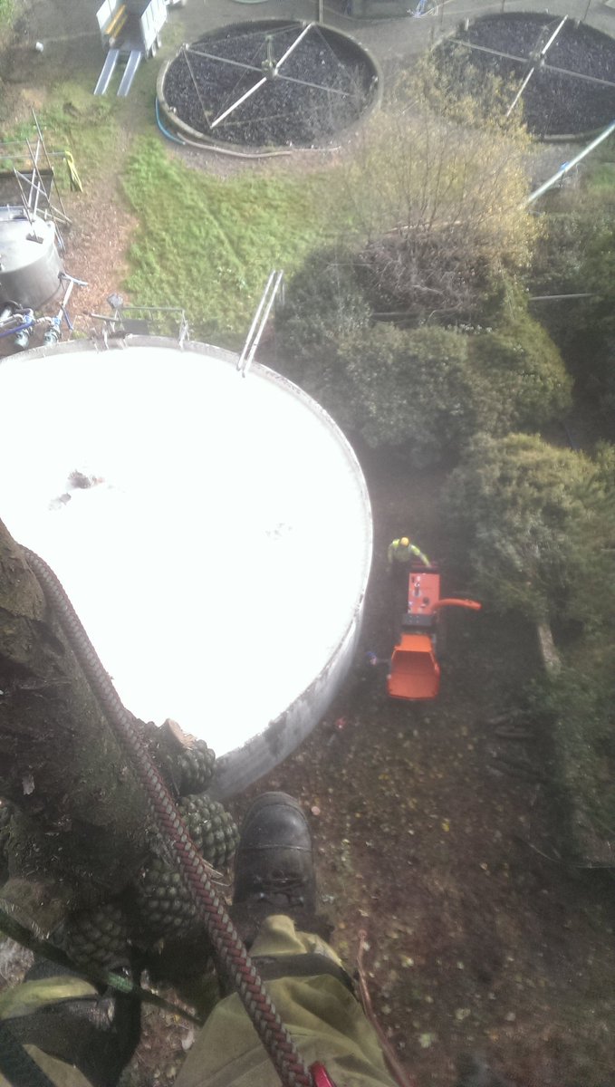 pearsontreeserv's tweet photo. Dismantling some pines over the milk factory waste tanks, was a smelly job!! https://t.co/cU08afRpwT