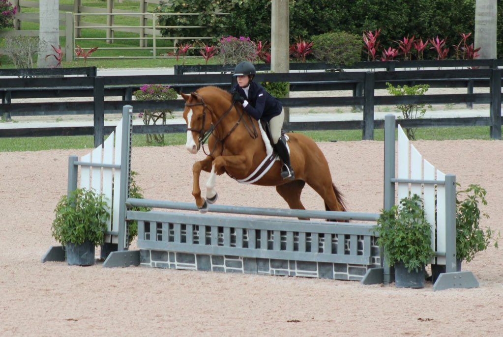 EddyLads's tweet image. Small jumps are cool, big jumps are cool, no jumps are cool. Your fence height doesn't define you! #RideHappy 💞