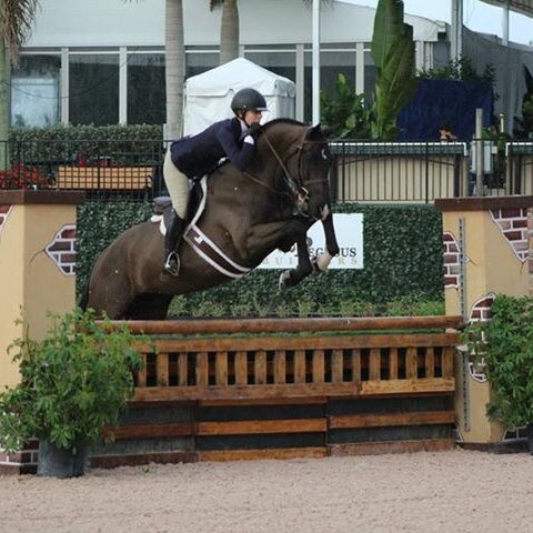 EddyLads's tweet image. Small jumps are cool, big jumps are cool, no jumps are cool. Your fence height doesn't define you! #RideHappy 💞