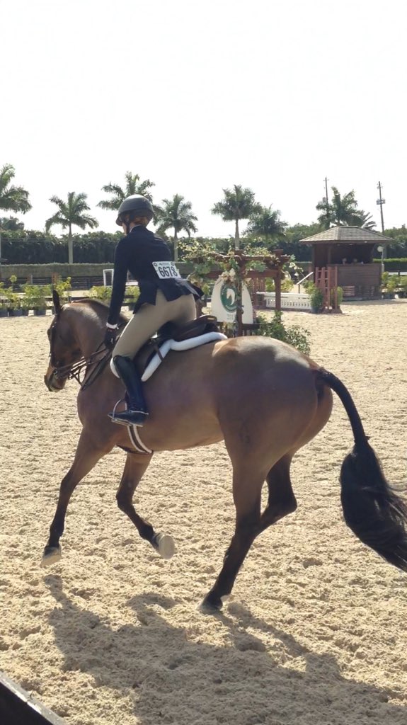 EddyLads's tweet image. Small jumps are cool, big jumps are cool, no jumps are cool. Your fence height doesn't define you! #RideHappy 💞