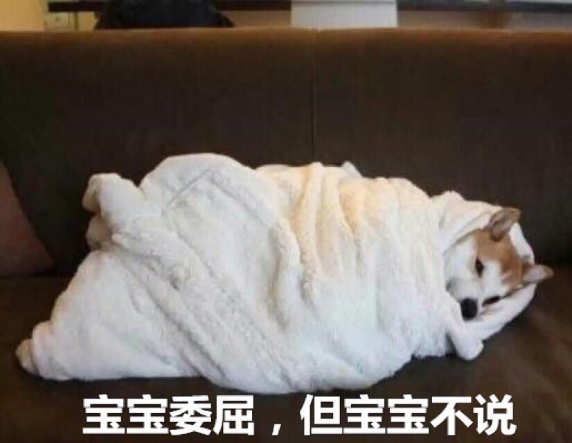 viewrew's tweet image. 你不知道 不需要原谅 forgive