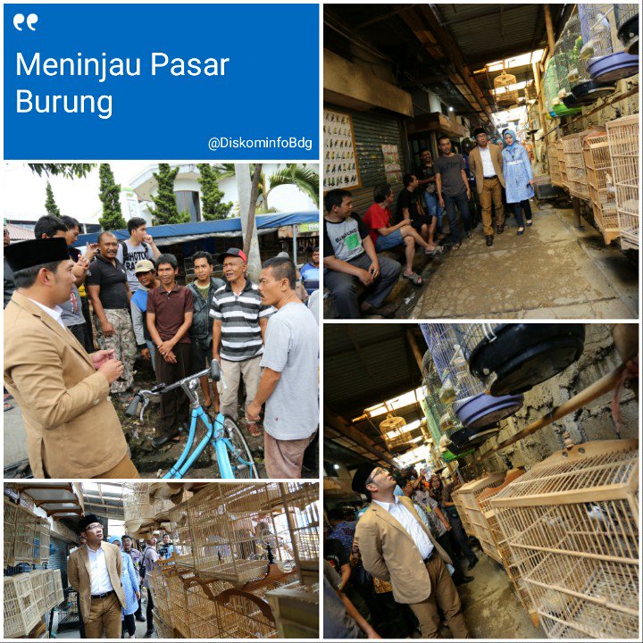 PemkotBandung's tweet photo. @ridwankamil @ata_lia Meninjau Pasar Burung di wilayah @KecBojongloakal #MapayLembur (18/12) https://t.co/bDpoOjFRsE