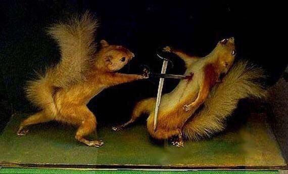 CrapTaxidermy's tweet photo. "Why Samuel? You were my most trusted lieutenant!"

"My apologies Sir Stephen, my allegiance is now with the Greys." https://t.co/r4Rd0Gw4xK