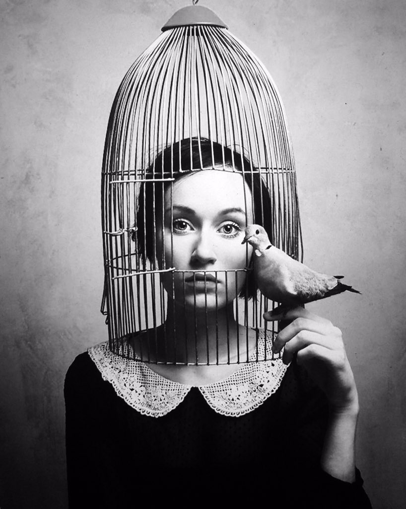 L0oiic's tweet photo. Ouvre la cage. Libre sera l'oiseau. Enfermés seront les maux. #DALS #DemiFinale @DenitsaOff @MCPietragalla https://t.co/juJVFOxsZx