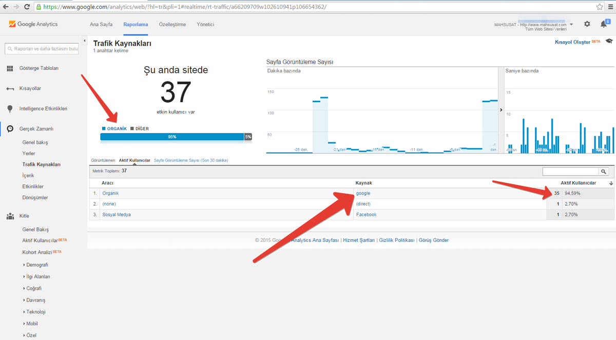 Piketi ile % 95 organik gerçek hit. % 98 Türkiye lokasyonlu ziyaretler.