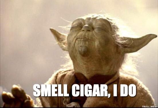 TobaccoPlusSC's tweet photo. That feeling when you walk into the shop after a long day. https://t.co/h4DizJRto3