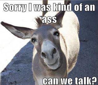 Funny Pet Photos on Twitter: Funny Pet Photos on Twitter: