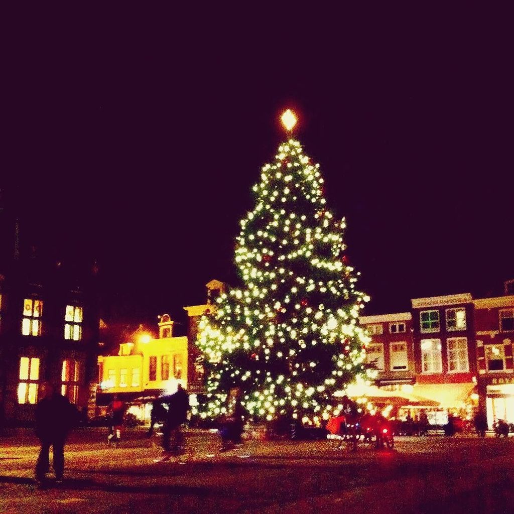 Wij zijn dol op kerstbomen: #markt  #marktdelft #kerstboom #christmastree #delft #delftcentrum #lichtnacht2015 #lic…