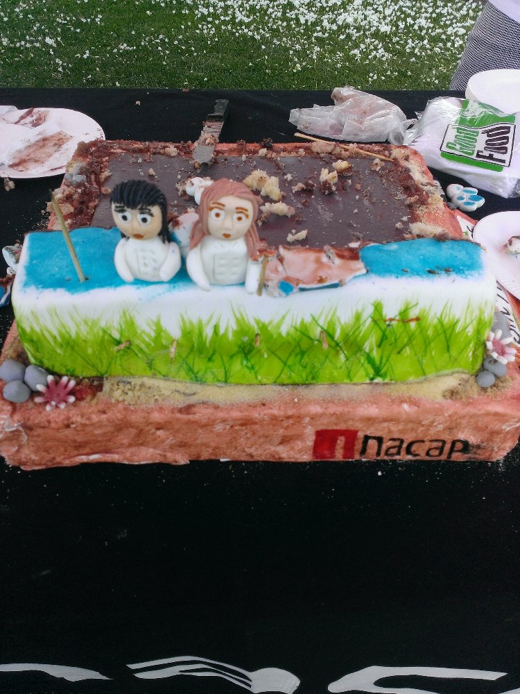 Cobr4blue's tweet image. Lo que va quedando de la torta #SWConcepcion