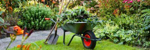 UtopiTrade's tweet photo. https://t.co/nsuyjxRbq3
Grow A Lovely Organic Garden With These Tips
#greengrowing #sustainable https://t.co/eSRCVhM7xy