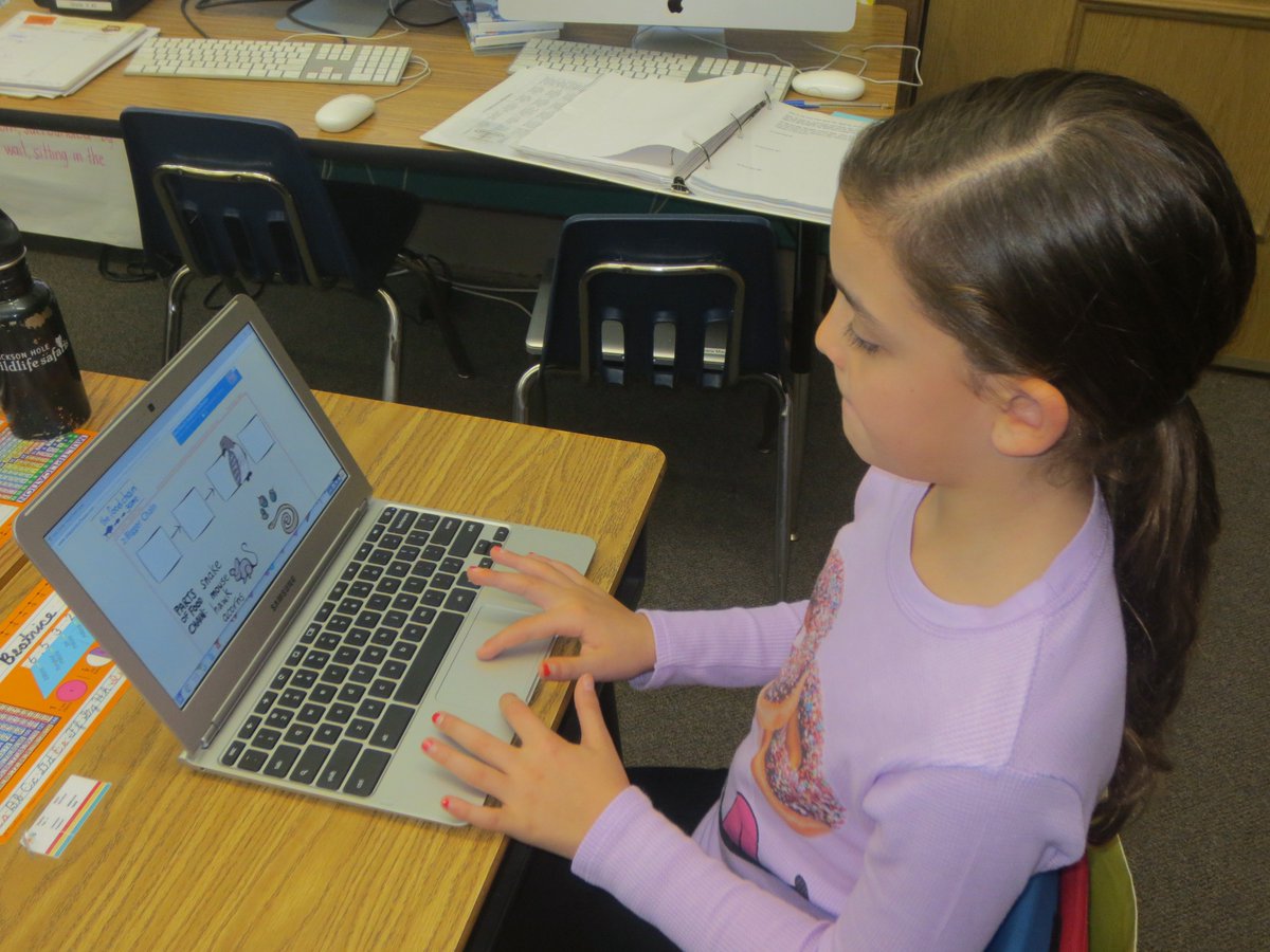 MrsNedwick's tweet photo. Food Chains #sheppardsoftware #edgewoodproud https://t.co/YUVfIDiNQv