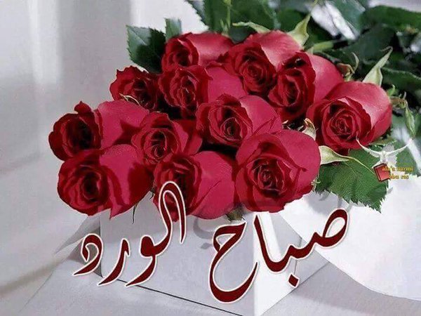 azztelsaed1's tweet photo. @sexso_102 واحشانى ياحنان 01095304248 https://t.co/BvX58XSM7o