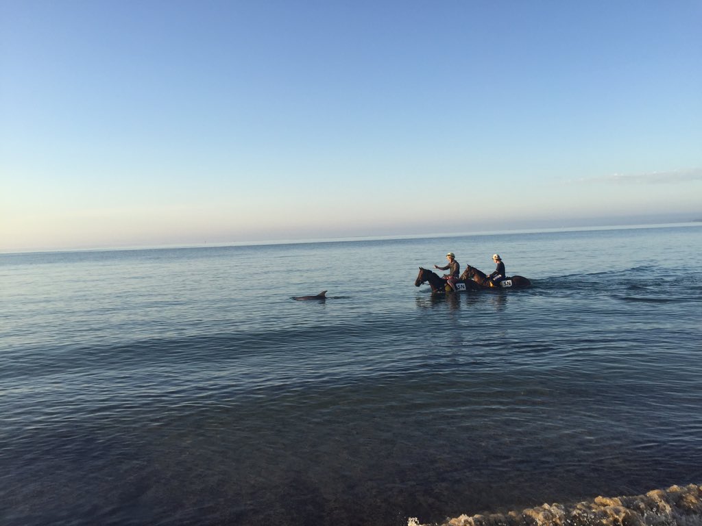 Shane Nichols Racing (@shanenicholsrac) on Twitter photo 