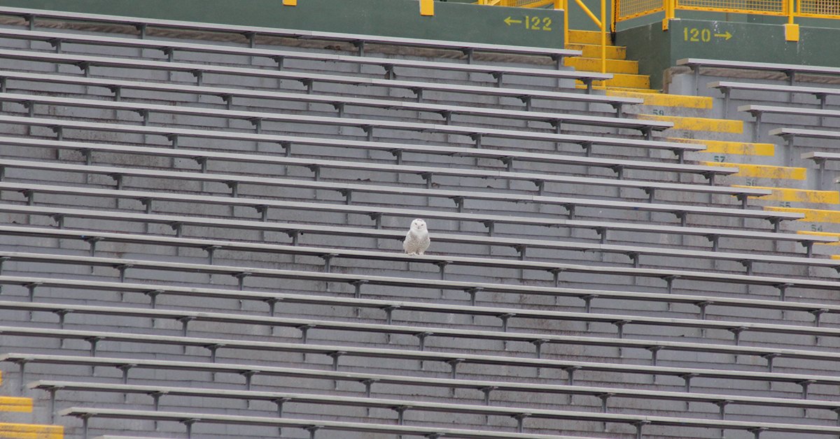 packers's tweet photo. Should we tell him the game's in Oakland? https://t.co/KRY6eIYczE
