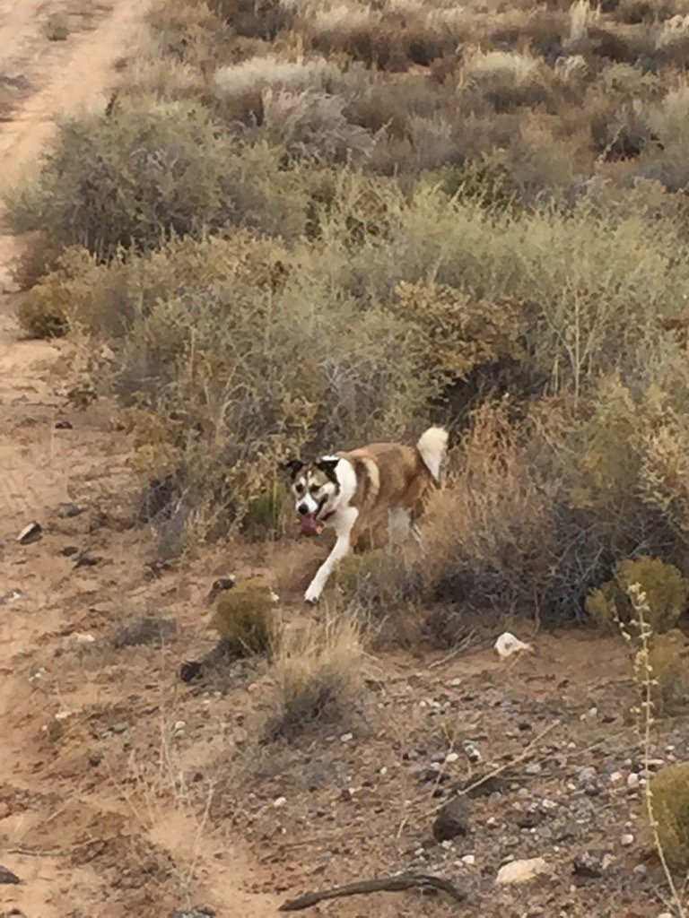 melisba10's tweet photo. Time for a run https://t.co/1rWY0oYn1E