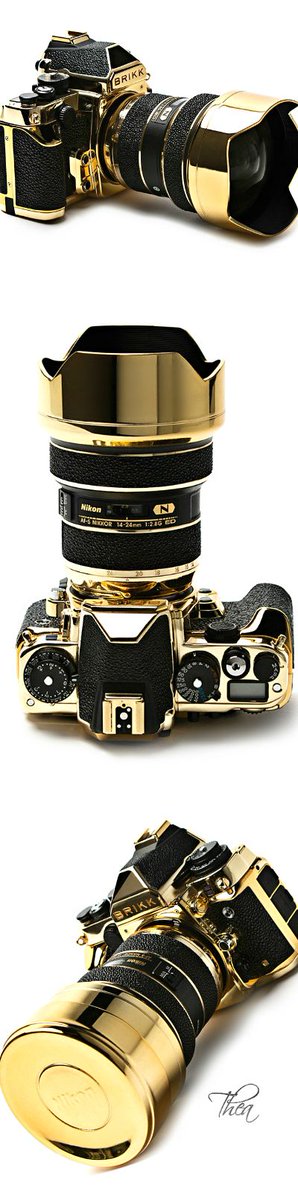 Brikk ● 24K Gold &amp; Stingray Lux Nikon DF Camera $58,000