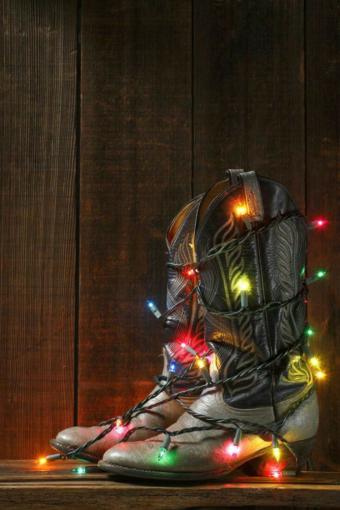 RedneckKisses's tweet photo. One more week till Christmas 🎄⛄🎅 https://t.co/j6t78x4t8k