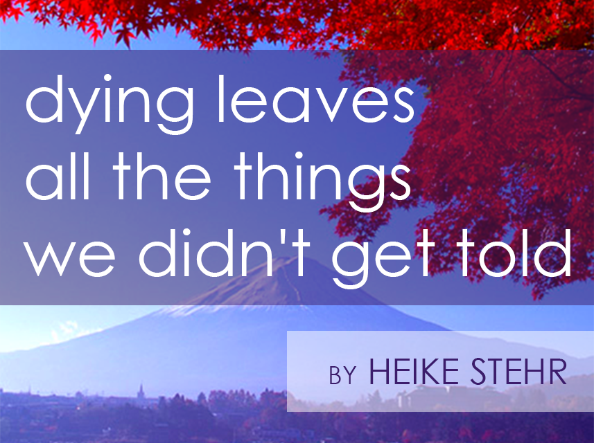 JapanEmbDC's tweet photo. 590 entries! Heike Stehr is the #JICCDC #Haiku Contest Grand Prize Winner!
List of Winners → https://t.co/y9Tb0vQzuy https://t.co/V4Ikab9ty3