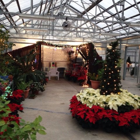 ba_blooms's tweet photo. The greenhouse is open and ready for sales! The students have worked hard for the past 3 days! #BCAHS #BABLOOMS https://t.co/uBP0U7W5g1