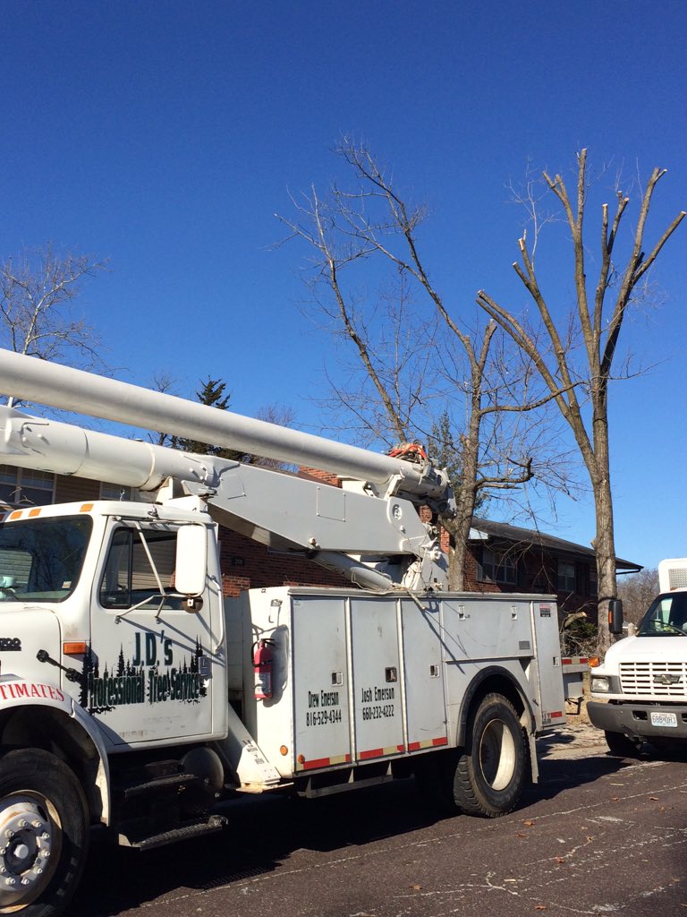 treesrtheanswr's tweet photo. Hey JD "Professional" Tree Service. Topping is NOT pruning!!! #treechat #treepruning #getoutside #treehackers https://t.co/QpqFtWPGlA