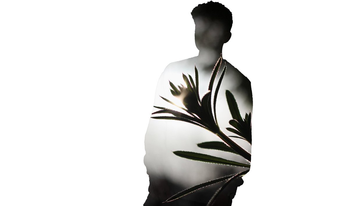 kieran_hawthorn's tweet image. Double exposures 📷