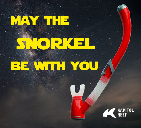 In spirit of Star Wars: The Force Awakens, we give you this wish. #kapitolreef #snorkeling #starwars #vacation