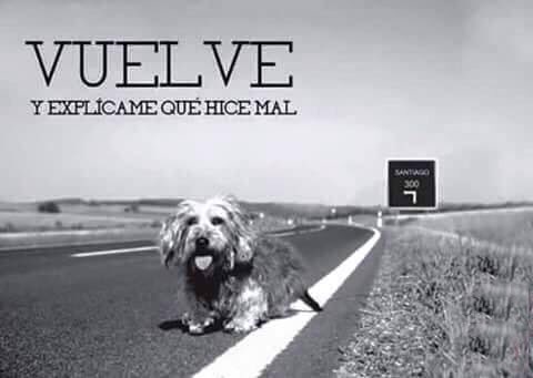 libre_de_amar's tweet photo. Oye RT si estás en contra del abandono de los peluditos 🐕🐈🐩 https://t.co/4ogqv4cDsT